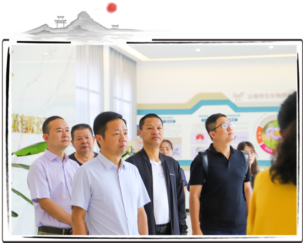 边框-1.png